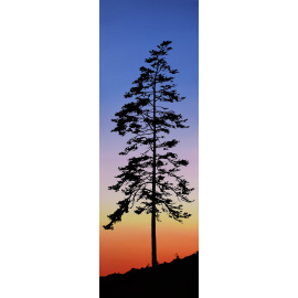 Kylee Turunen - Tree at Sunset
